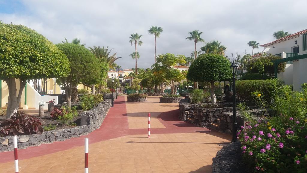 Adelfas 2 San Miguel de Abona